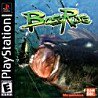 Bass Rise Fishing